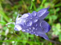 Img_2007 (Copier).jpg